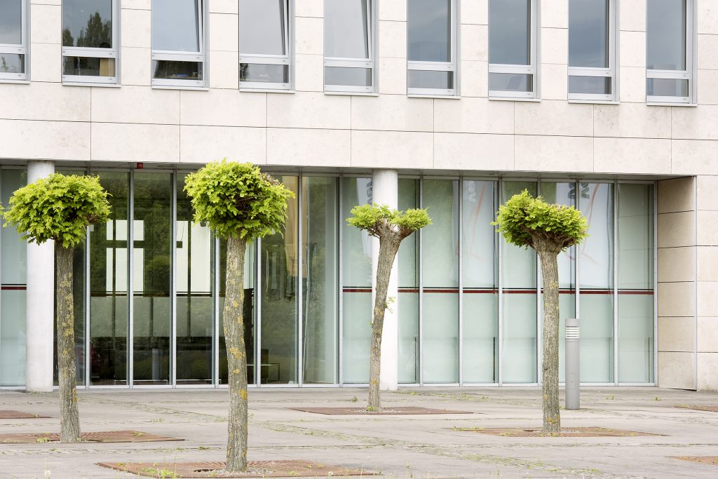 Dortmund: ca. 118,96 – 1.256,27 m² Büro- und Verwaltungsfläche im „Büroquartier Sebrathweg“ – Bild 4